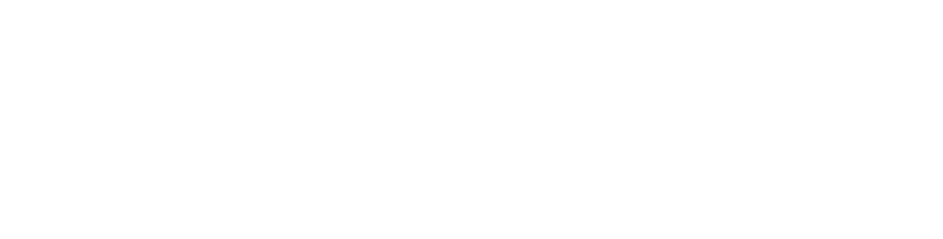 Nicole Scherzinger logo